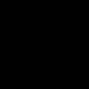 Meet your Posher, Cesar